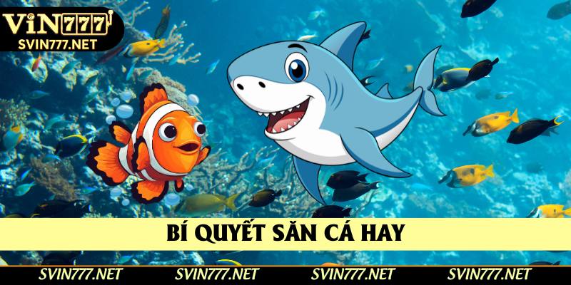 Bí quyết săn cá hay Bí quyết săn cá hay