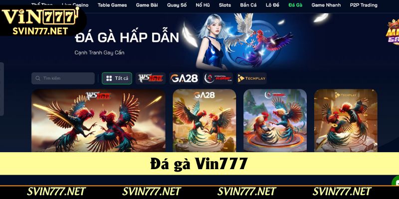 Thành viên được tham gia nhiều trận đấu đá gà trên toàn quốc